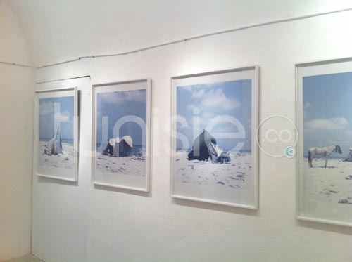 Galerie Photos d'oeuvres exposées dans le cadre du Printemps des Arts Fair Tunis 2012