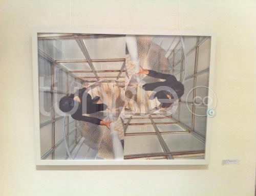 Galerie Photos d'oeuvres exposées dans le cadre du Printemps des Arts Fair Tunis 2012