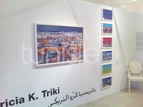 Galerie Photos d'oeuvres exposées dans le cadre du Printemps des Arts Fair Tunis 2012