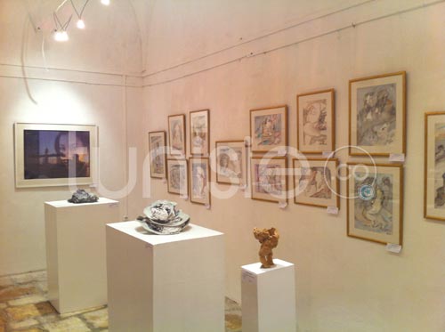 Galerie Photos d'oeuvres exposées dans le cadre du Printemps des Arts Fair Tunis 2012