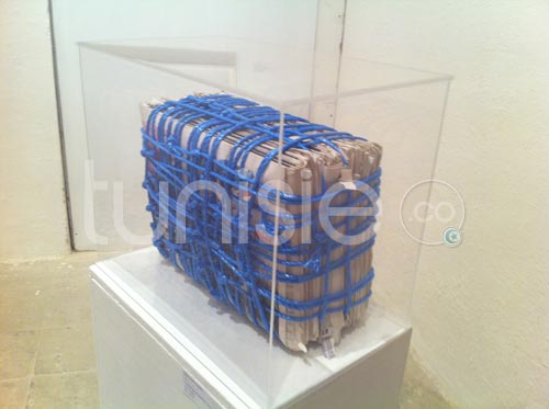 Galerie Photos d'oeuvres exposées dans le cadre du Printemps des Arts Fair Tunis 2012