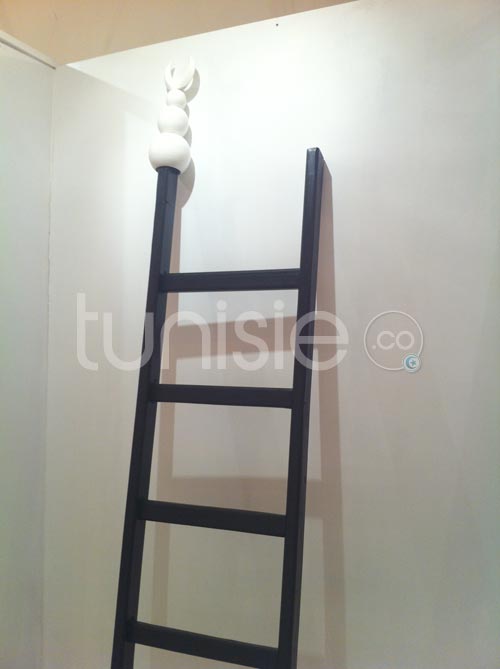 Galerie Photos d'oeuvres exposées dans le cadre du Printemps des Arts Fair Tunis 2012