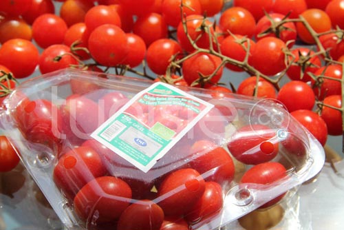 L'agriculture Bio tunisienne à l'honneur au 'Tunisia Organic Day Dubaï'