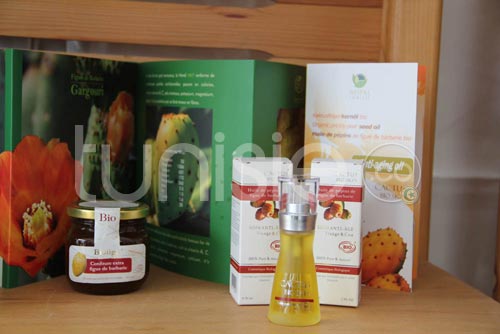 L'agriculture Bio tunisienne à l'honneur au 'Tunisia Organic Day Dubaï'