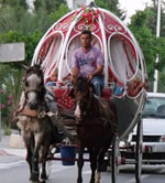 Une journée à Hammamet