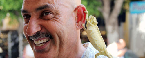 Om el Bouya la vedette ! Le caméléon en Tunisie