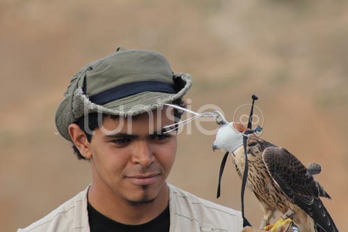 En photos : ambiance du festival de l'épervier 2012 à El Haouaria
