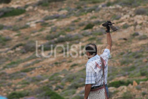 En photos : ambiance du festival de l'épervier 2012 à El Haouaria