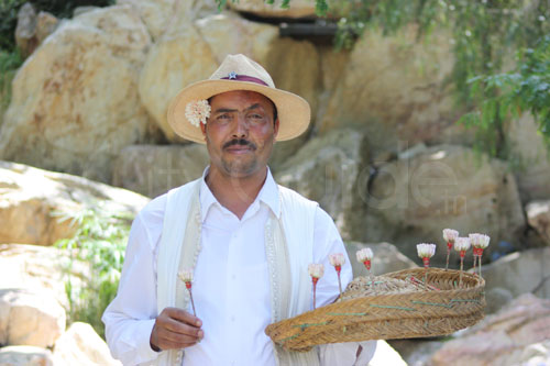 Jasmin en Tunisie