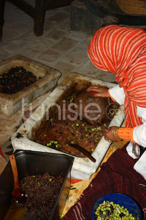 Cueillette et pression artisanale des olives au gîte rural Dar Zaghouan