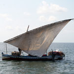 Sortie en Mer à Kerkennah avec Chokri