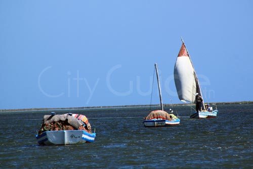 Sortie en Mer à Kerkennah avec Chokri