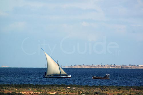 Sortie en Mer à Kerkennah avec Chokri