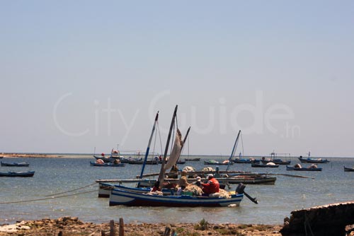 Sortie en Mer à Kerkennah avec Chokri