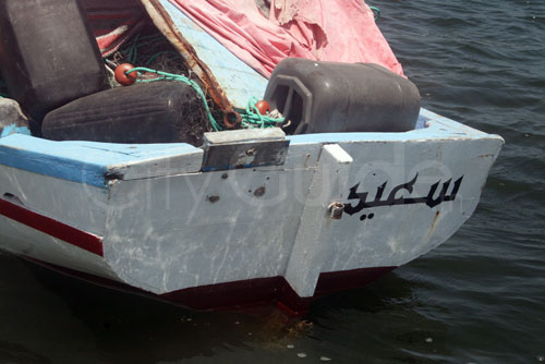 Sortie en Mer à Kerkennah avec Chokri