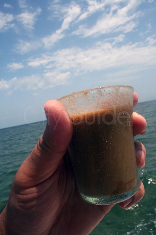 Sortie en Mer à Kerkennah avec Chokri