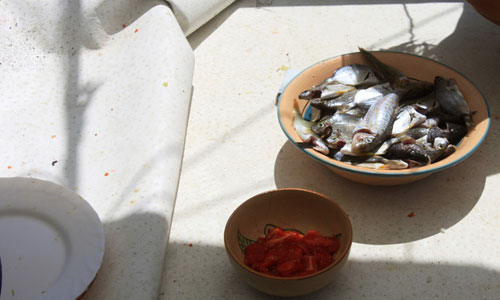 Sortie en Mer à Kerkennah avec Chokri