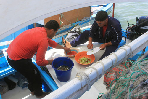 Sortie en Mer à Kerkennah avec Chokri