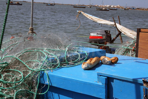 Sortie en Mer à Kerkennah avec Chokri