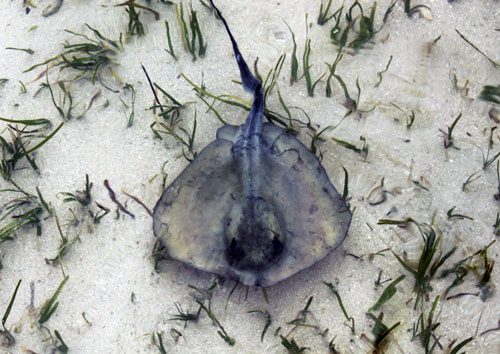 Sortie en Mer à Kerkennah avec Chokri