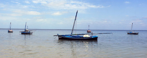 Sortie en Mer à Kerkennah avec Chokri