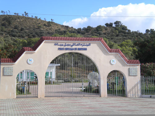 Tébourba