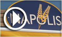 Napolis Bio : Elaboration du concept et Avantages du Bio