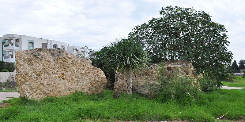 Aqueducs Romains à la Soukra 