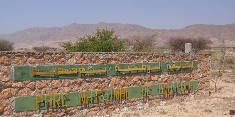 Parc national de Bouhedma