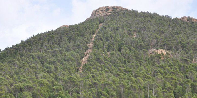 Parc national de Chaambi