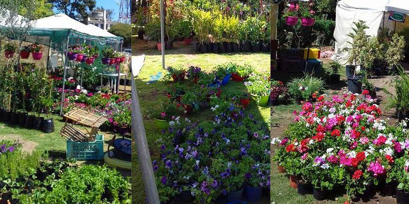 En photos : Découvrez La Grande Exposition des Fleurs au Belvédère 