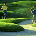 Golf Citrus - Hammamet