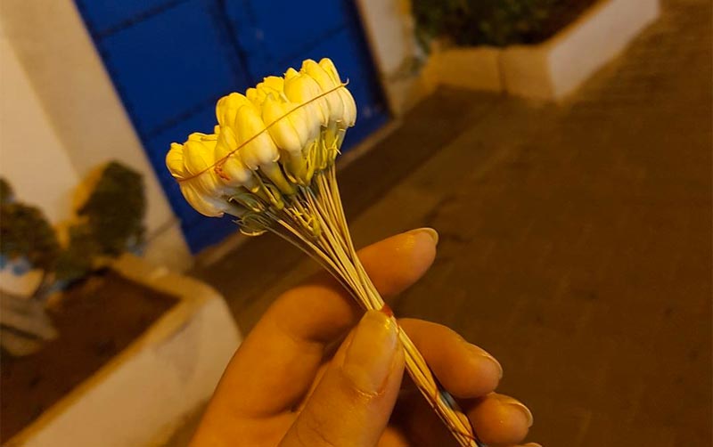 Admirez la beauté du machmoum tunisien en 10 photos