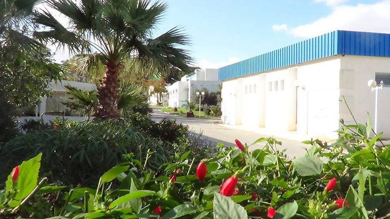 Maison des jeunes la Marsa