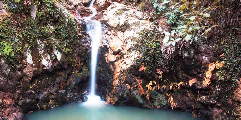 Parc national de Oued Zen