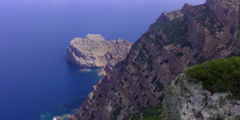 Parc national des îles de Zembra et Zembretta