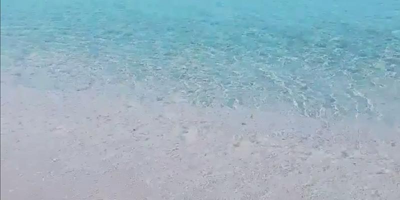 En photos : Découvrez la belle plage de Salakta Ã  la Mahdia