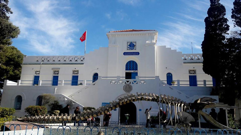 Musée Océanographique de Salammbô à Tunis