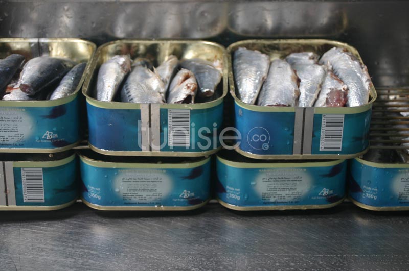 Le parcours des sardines Ã  l'usine Sidi Daoud