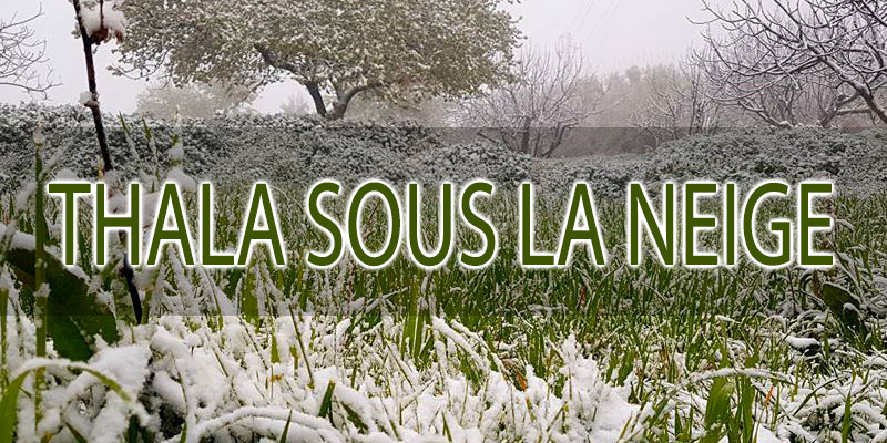 Ces photos de Thala sous la neige vont sûrement vous séduire